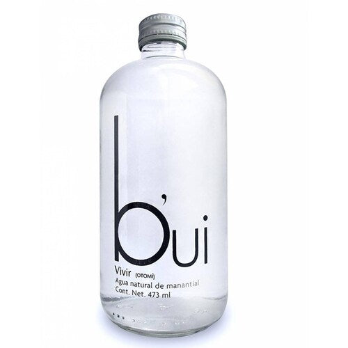 Agua Natural Bui Vidrio - 473 Ml