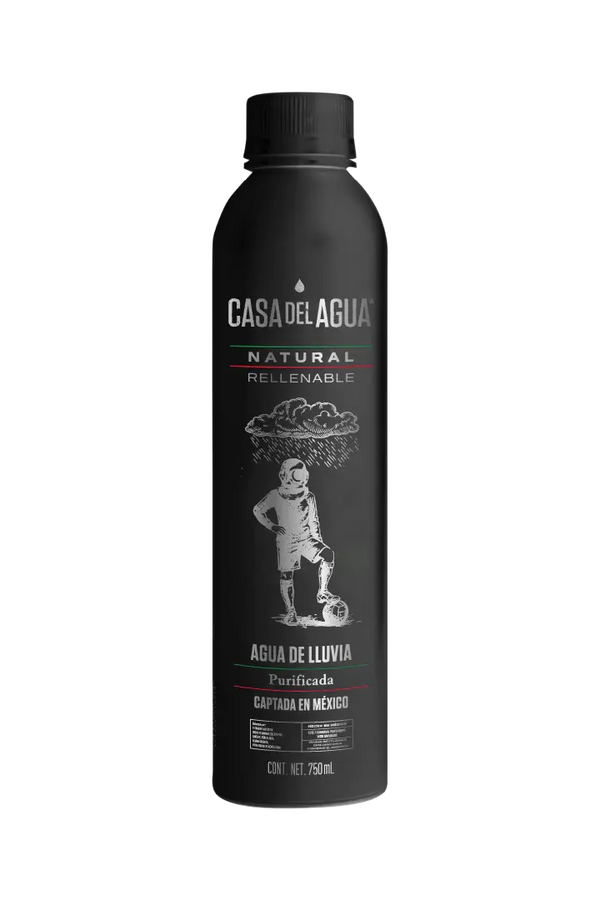 Agua Natural Casa Del Agua Aluminio Edicion Mundial - 750 Ml