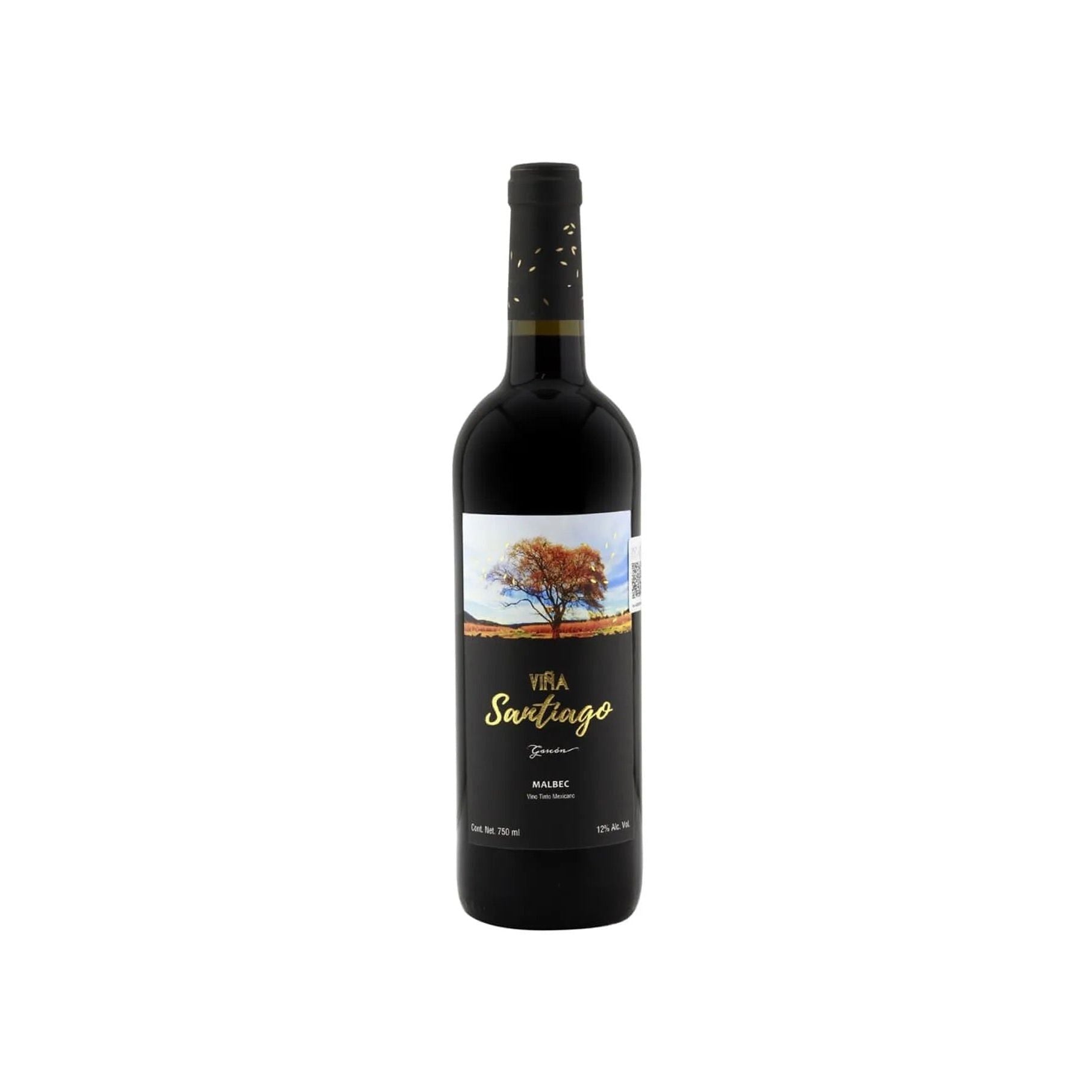 V.T. Viña Santiago Malbec - 750 Ml