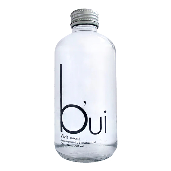 Agua Natural Bui Vidrio - 290 Ml