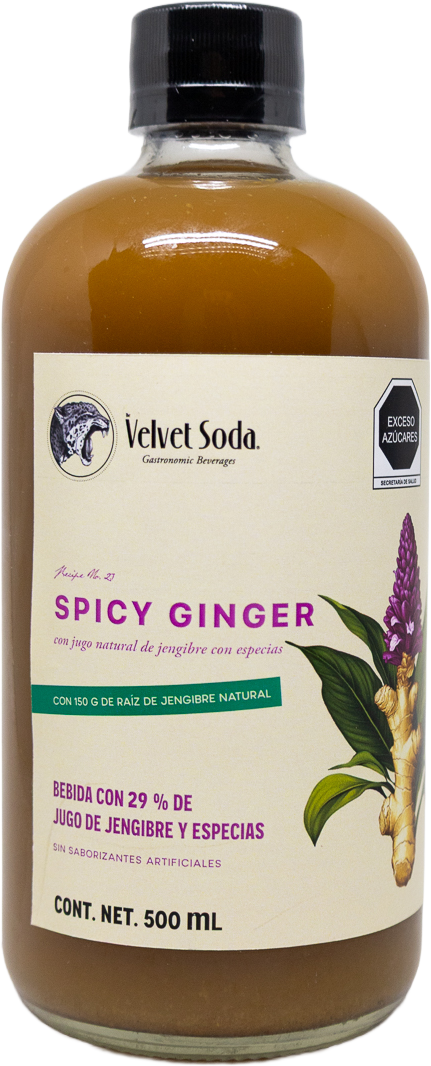 Concentrado de Jengibre Velvet Soda Spicy Ginger - 500 Ml